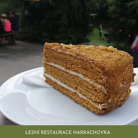 Lesni Restaurace Harrachovka Pensionat Tábor