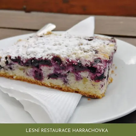 Lesni Restaurace Harrachovka Pensionat 3*